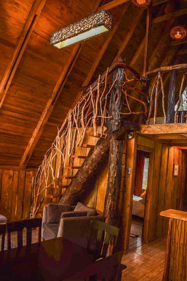 Cabanas Ecoturismo La Pancha Puerto Aysen Exteriör bild